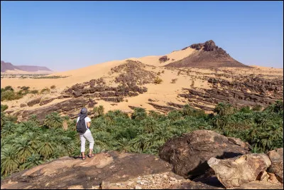 Géographie : Sur combien de pays s'étend le désert du Sahara ?