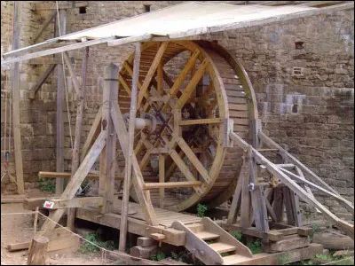 Quel animal était un roke ?