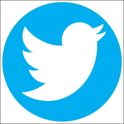 À quel réseau social correspond ce logo ?