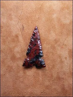 Dans le venin de quel animal les Indiens d'Amrique trempaient-ils la pointe de leur flches ?