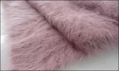 A quel animal doit-on la laine angora ?