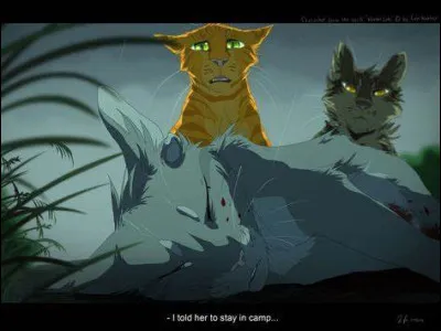 Quel était le plan d'Étoile de Feu pour vaincre les chiens ?