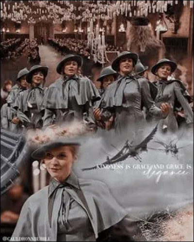 Que boivent les chevaux de Madame Maxime ?