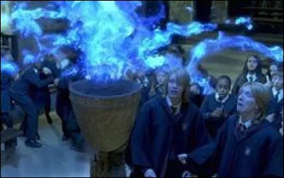 Qu'utilisent Fred et George pour passer la limite d'âge autour de la Coupe de feu ?