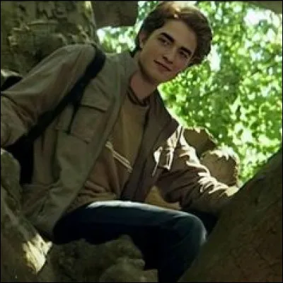 Dans quelle maison est Cedric Diggory ?