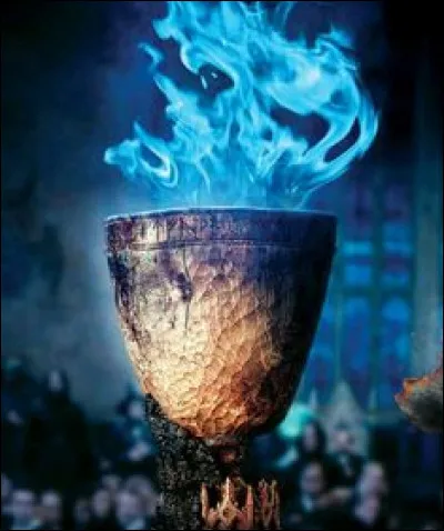 Qui sont les deux champions des deux autres écoles ? (Hors Poudlard)