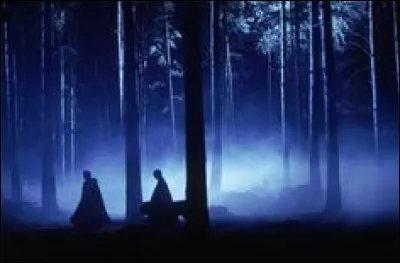 Que doivent affronter les champions pendant la première épreuve ?