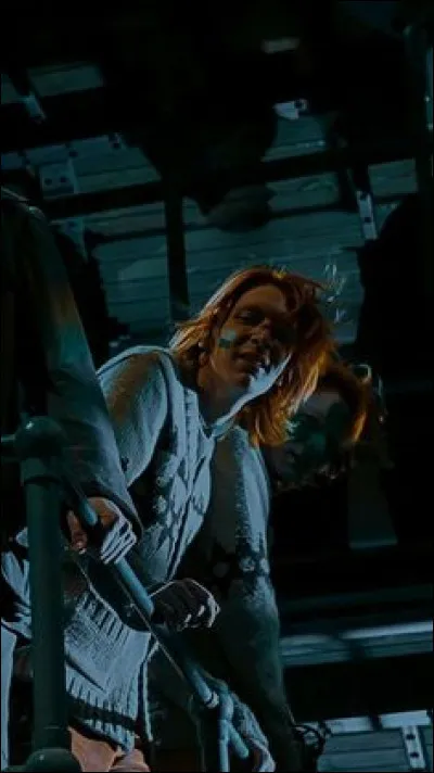 Qui les Weasley croisent-ils ?