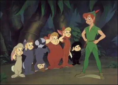 A l'origine, Peter Pan est un meurtrier. En effet, il assassine les enfants perdus une fois qu'ils deviennent adultes.