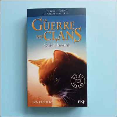 Quel tome n'existe pas dans le cycle 3 ?