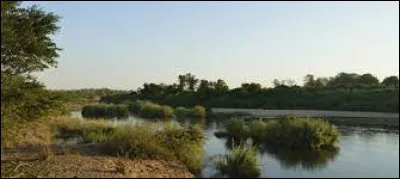 Le Limpopo forme la frontière entre l'Afrique eu Sud et le Zimbabwe ; dans quel pays s'écoule-t-il ensuite ?