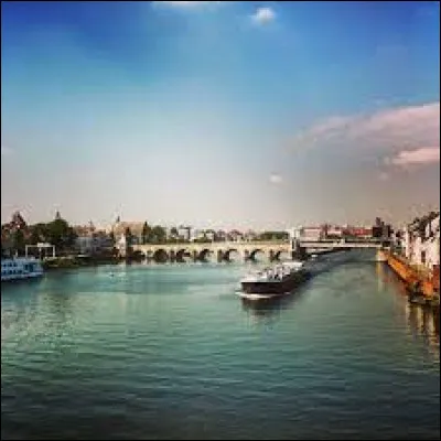 Quel est ce fleuve qui prend sa source en France aux confins de la Champagne et de la Lorraine, coule vers le nord, traverse le massif ardennais, pénètre en Belgique, arrose Liège et termine son cours aux Pays-Bas pour rejoindre la mer du Nord ?