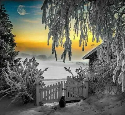 Dans la chanson "L'ombre et la lumière" interprétée par le duo Calogéro/Grand Corps malade, vers quoi marche-t-il pour retrouver dans un sourire toutes les lois de l'univers ?