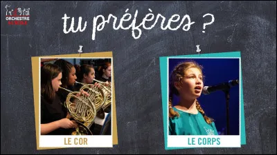 Quel animal préfères-tu ?