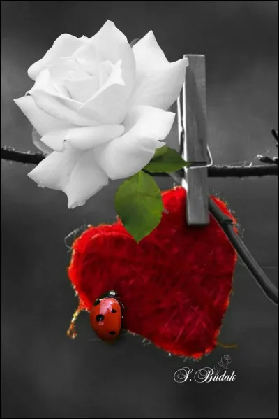 Je vous souhaite aussi plein d'amour (sans "s"). Qui a dit "Une partouse, c'est l'Amour avec un grand tas" ?