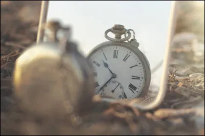 Parmi ces deux propositions, laquelle n'est pas un tome de "A la recherche du temps perdu" ?