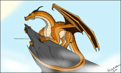 Au Royaume du Ciel, que deviennent les dragonnets animus ?