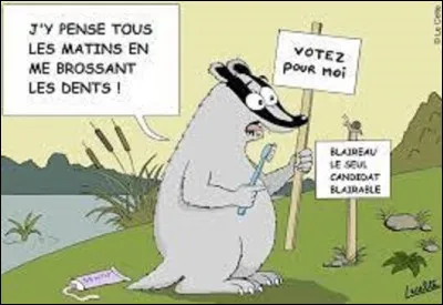 Quel est le symbolisme du blaireau ?