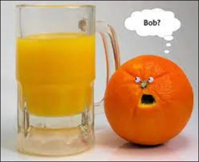 Quel pays est le plus gros producteur d'oranges au monde avec plus de 19 millions de tonnes produit ?