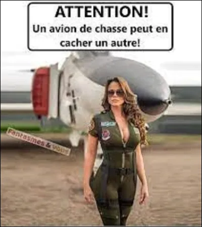Quel est le nom du réalisateur du film ''Top Gun'', sorti en 1991, qui propulsa la carrière de Tom Cruise ?