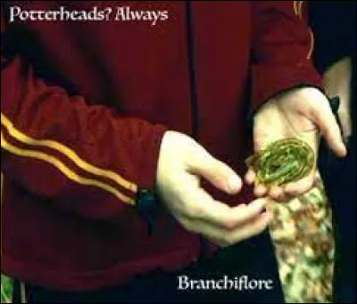 Que propose Neville à Harry pour qu'il puisse respirer pendant 1 heure sous l'eau ?