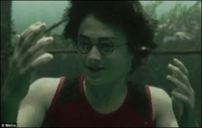 Qui Harry ramène-t-il à la surface ?