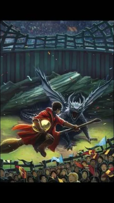 Avec quoi Harry s'envole-t-il pendant la première épreuve du tournoi ?