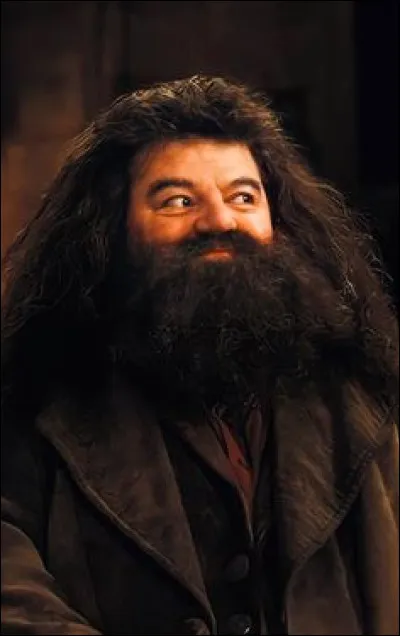 Quel âge avait Hagrid lorsque sa mère l'a abandonné ?