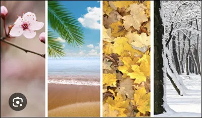 Quelle est ta saison préférée ?