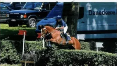 Quelle discipline préfères-tu ?