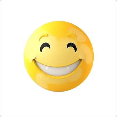 Quelle est ta principale qualité ?