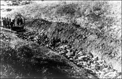 Ce 29 septembre, a lieu le massacre de Babi Yar, près de Kiev ; plus de 30 000 Juifs sont assassinés par les Einsatzgruppen et leurs collaborateurs locaux : c'était en ...