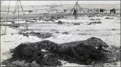 Ce 29 décembre, le massacre de Wounded Knee dans le Dakota du Sud, marque la fin des "guerres indiennes" : c'était en ...