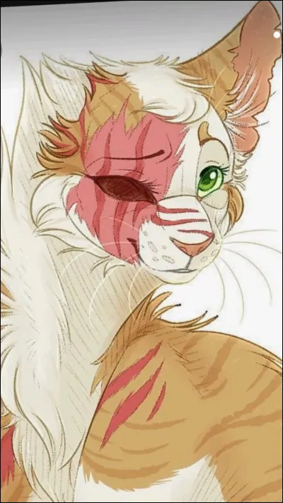 Qui a été la première chatonne de Cur Blanc et Flocon de Neige ?