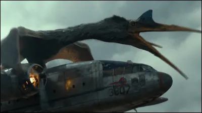 Que se passe-t-il sur cette image ?