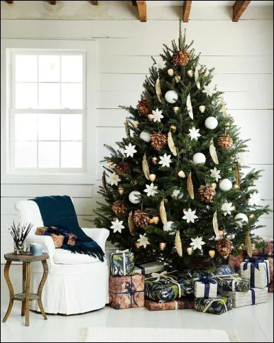 Retour sur Noël ! Qu'accroche-t-on traditionnellement en haut du sapin ?