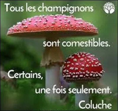 Comment dit-on ''champignon'' en italien ?