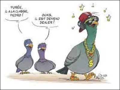 Quel oiseau vole le plus vite ?