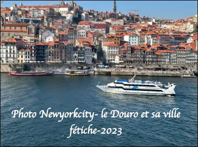 Quelle est cette ville en P du Portugal, dont le nom est synonyme de vin muté, cité arrosée par le fleuve Douro ?