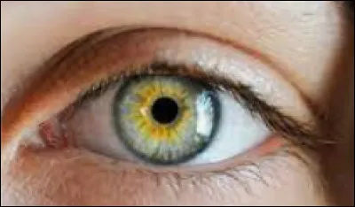 De quelle couleur sont tes yeux ?