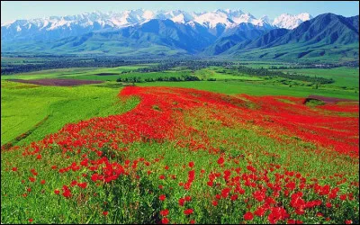 Je suis la seule République de l'Extrême-Orient russe et aussi la plus vaste entité fédérée de toute la Russie avec 3,1 millions de km². J'abrite la majeure partie du cours de la Lena et les monts de Verkhoïansk, connus pour présenter la plus forte amplitude thermique sur Terre et les hivers les plus froids de toutes les régions habitées du globe.