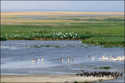 Celle-ci est probablement la plus singulière de toutes. Située entre la mer Noire et la mer Caspienne, elle forme une vaste plaine désertique au nord du Caucase, balayée par les vents. Elle a également la particularité d'être la seule région d'Europe à avoir, pour religion officielle, le bouddhisme.