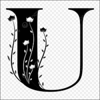 Dans quel film Disney la méchante se nomme-t-elle Ursula ?