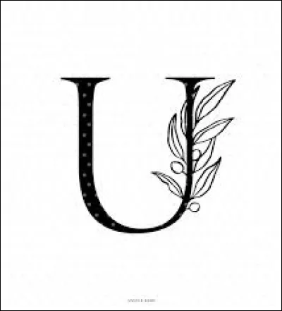 Qu'étudie l'Ufologie ?