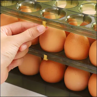 Complétez : Qui vole un uf