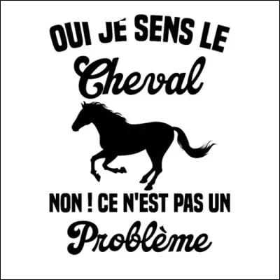 Aimes-tu les chevaux ?