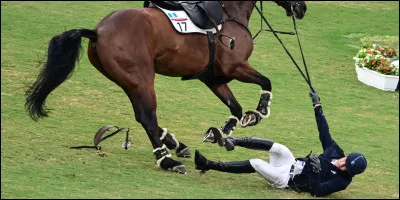 Pour toi, l'équitation est-ce un sport ?