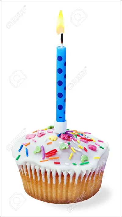 Combien de temps a vécu le chat le plus âgé du monde ?