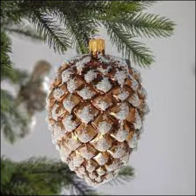 En Allemagne, les familles pratiquent le jeu de la **** cachée dans le sapin les soirs de Noël. 
Que signifie les *** en te basant sur le texte en dessous ? 

Une ***** est suspendue au plafond par un fil de soie, et les enfants, les yeux bandés, tentent de la mordre en sautant. Celui qui réussit gagne le titre de "Roi de Noël" ou "Reine de Noël". Cette tradition ajoute de la joie à la fête.