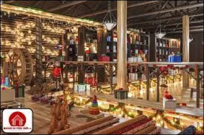 Le meilleur pour la fin ! 
Qu'est-ce qui est représenté sur cette image ?